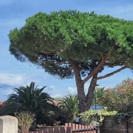 Six-fours Les Plages Tatil Evi *