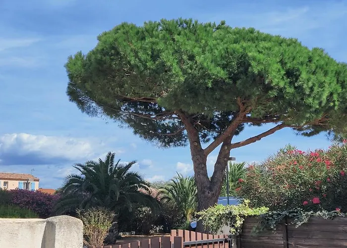 Six-fours Les Plages Tatil Evi *